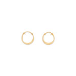Elegant Gold Hoop Earrings