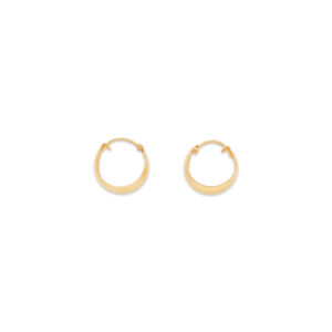 Elegant Gold Hoop Earrings