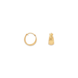 Elegant Gold Hoop Earrings
